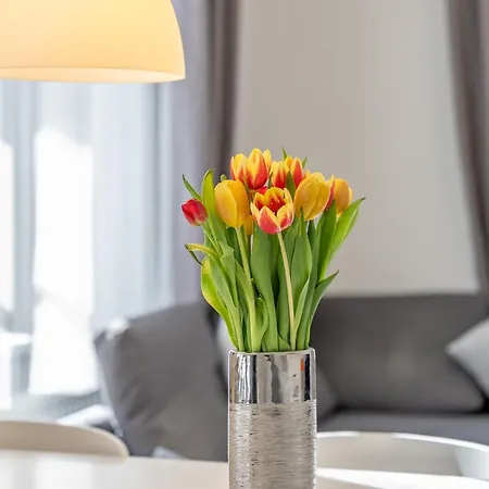 Appartement Alte Schule